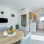 App Ruzica Finida Umag